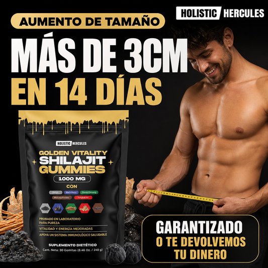 HOLISTIC HERCULES SHILAJIT 60 GOMAS